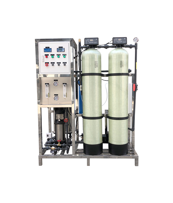 500 LPH Skid